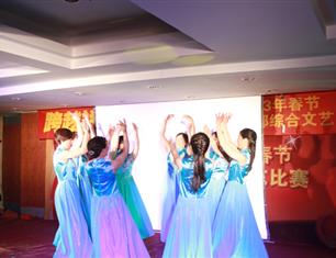 跨越祥和，超越自我—2013春節(jié)聯(lián)歡--財務(wù)處